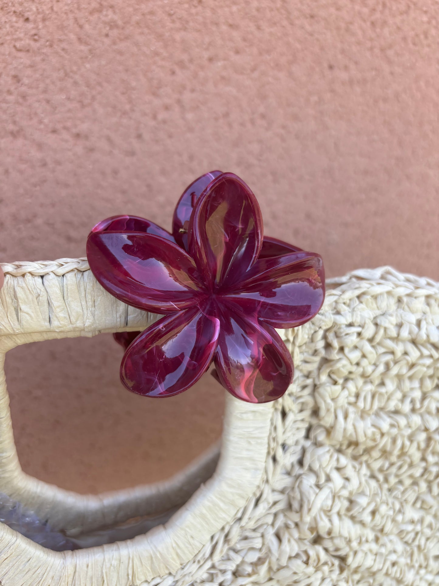 La pince a cheveux Antibes
