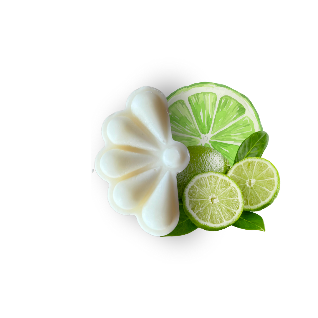 Le fondant pamela Citron vert