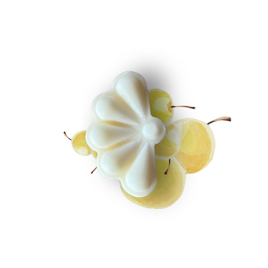 Le fondant pamela Mirabelle