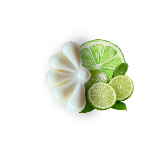 Le fondant pamela Citron vert