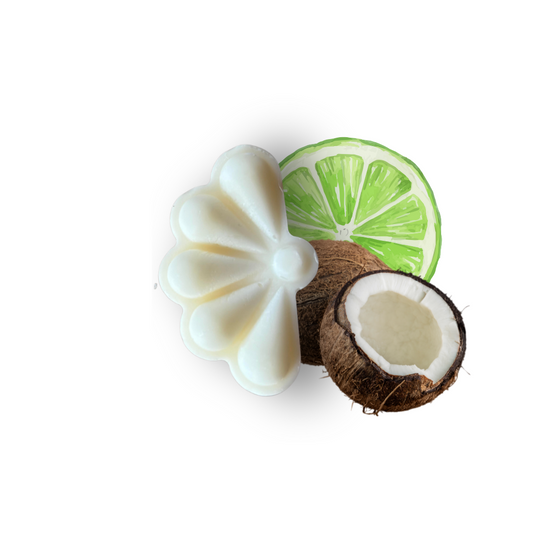 Le fondant pamela Citron vert- Coco